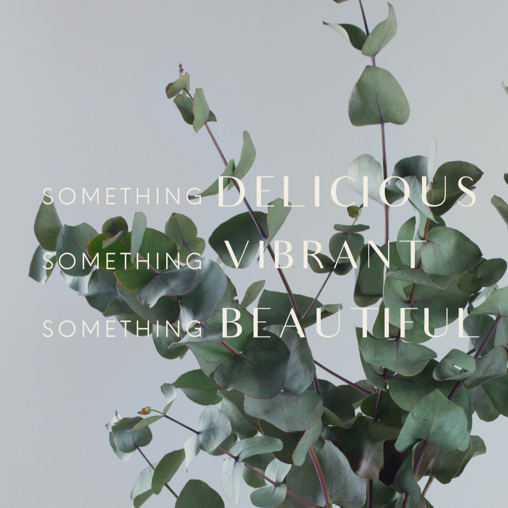 Three Things We’re Loving This November to Nourish from the Inside Out