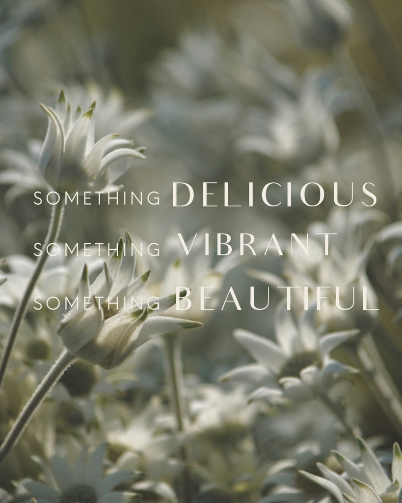 Three Things We’re Loving This October: Gardens, Lotus & Wildflowers